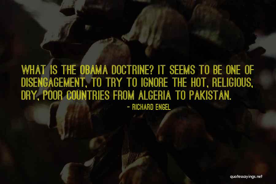 Disengagement Quotes By Richard Engel
