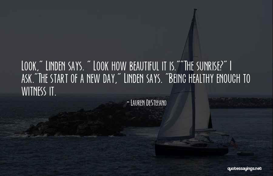 Disfar Ar Quotes By Lauren DeStefano Disfar Ar Quotes By Lauren DeStefano