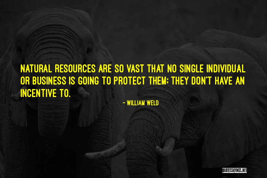 Disfuncional Firehouse Quotes By William Weld Disfuncional Firehouse Quotes By William Weld