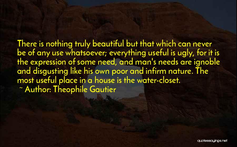 Disgusting Man Quotes By Theophile Gautier