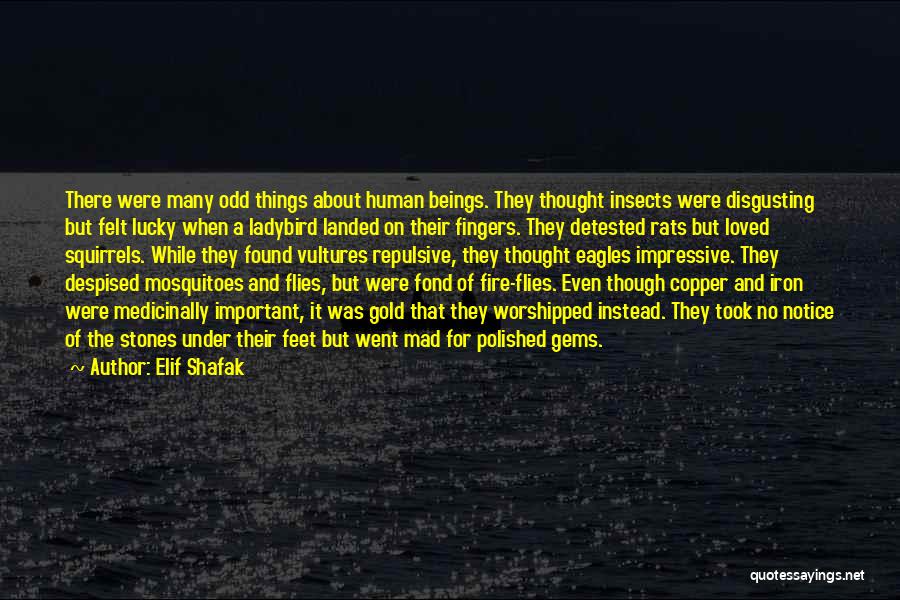 Disgusting Things Quotes By Elif Shafak