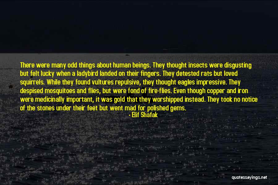 Disgusting Things Quotes By Elif Shafak