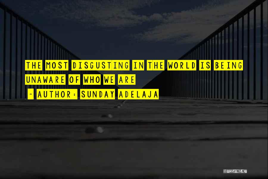 Disgusting World Quotes By Sunday Adelaja