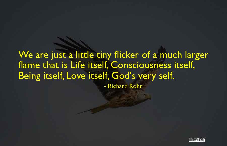 Dishes And Dusters Quotes By Richard Rohr Dishes And Dusters Quotes By Richard Rohr