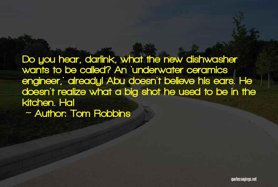 Dishwasher Funny Quotes By Tom Robbins