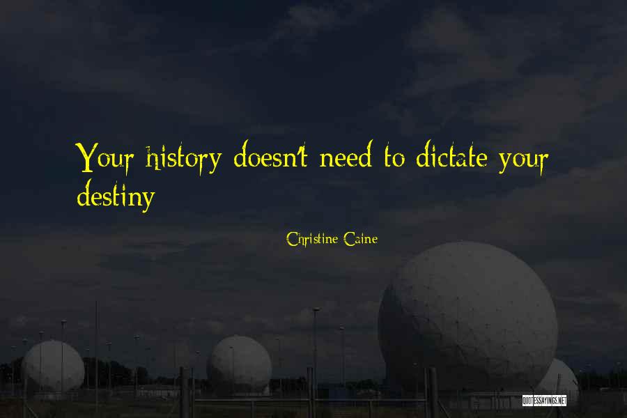 Dishwashing Tablets Quotes By Christine Caine Dishwashing Tablets Quotes By Christine Caine