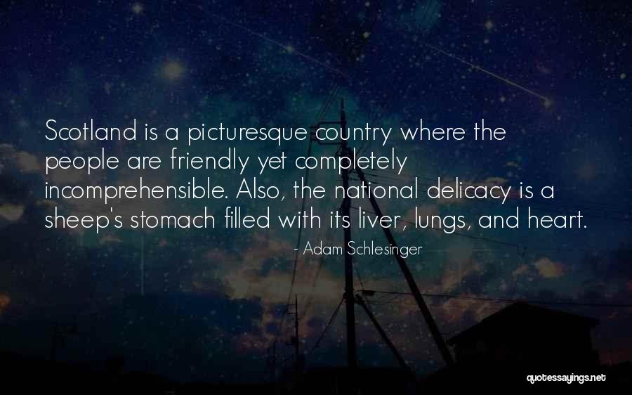 Disidente Quotes By Adam Schlesinger Disidente Quotes By Adam Schlesinger