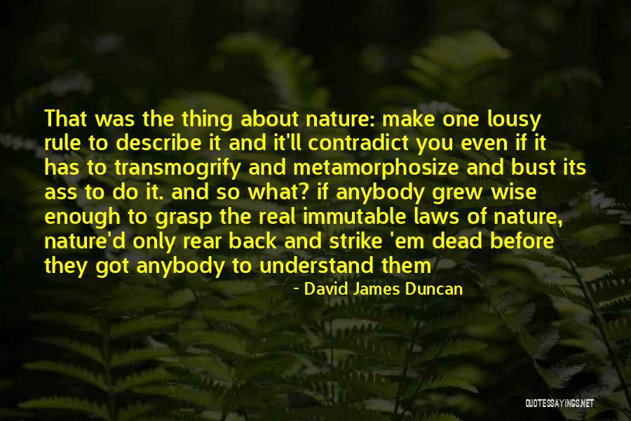 Disiksa Bayi Quotes By David James Duncan Disiksa Bayi Quotes By David James Duncan