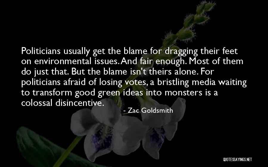 Disincentive Quotes By Zac Goldsmith Disincentive Quotes By Zac Goldsmith