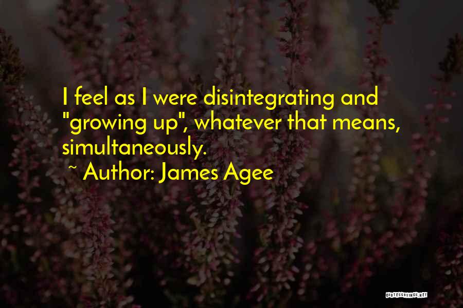 Disintegrating Quotes By James Agee