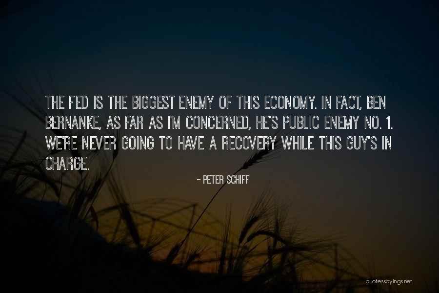 Disipador Definicion Quotes By Peter Schiff Disipador Definicion Quotes By Peter Schiff