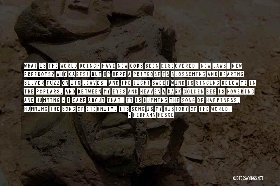 Disjuncture Landscape Quotes By Hermann Hesse Disjuncture Landscape Quotes By Hermann Hesse