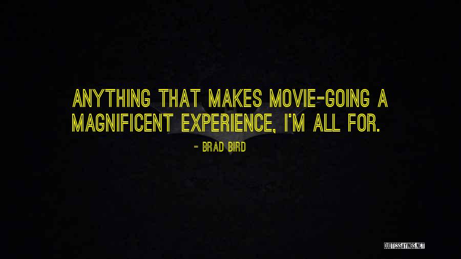 Diskoteka Madonna Quotes By Brad Bird Diskoteka Madonna Quotes By Brad Bird
