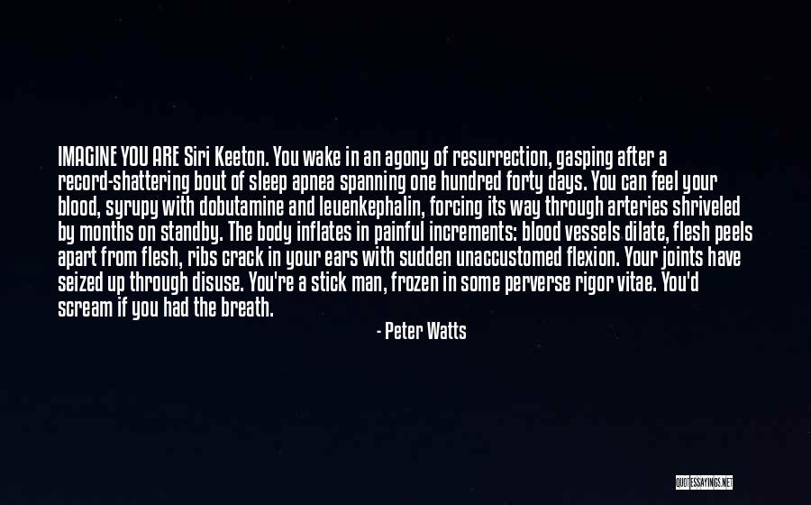 Disksys Quotes By Peter Watts