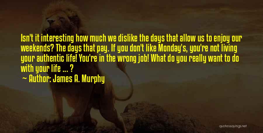 Dislike Job Quotes By James A. Murphy