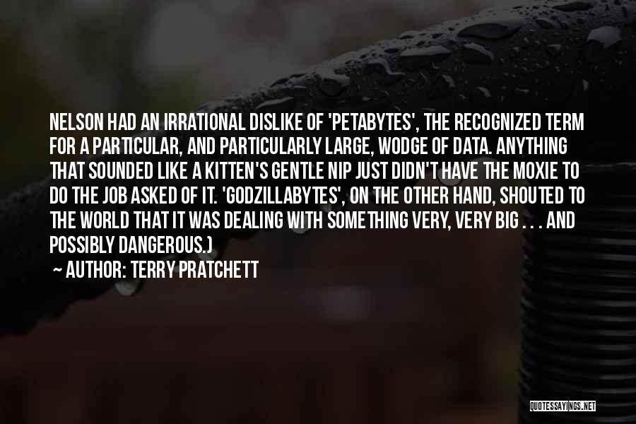 Dislike Job Quotes By Terry Pratchett