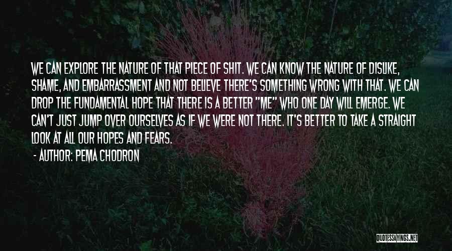 Dislike Me Quotes By Pema Chodron