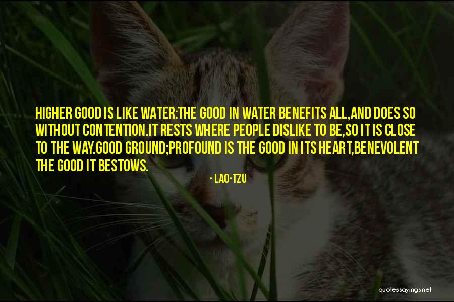 Dislike People Quotes By Lao-Tzu Dislike People Quotes By Lao-Tzu