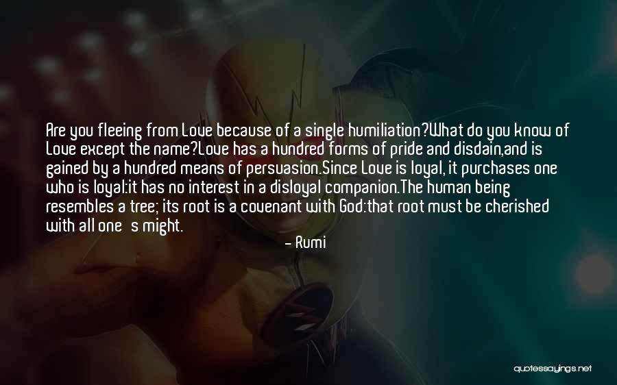 Disloyal Love Quotes By Rumi Disloyal Love Quotes By Rumi