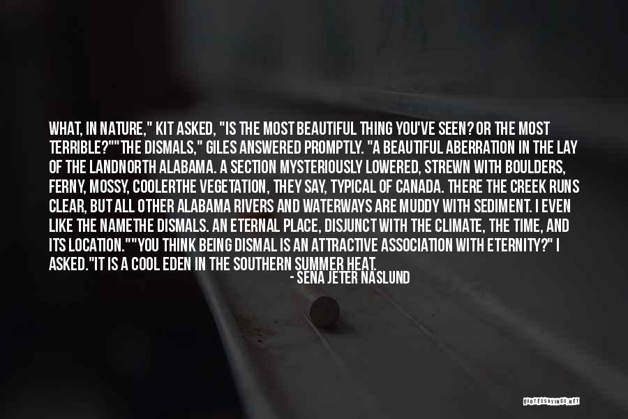 Dismals Wonder Quotes By Sena Jeter Naslund Dismals Wonder Quotes By Sena Jeter Naslund