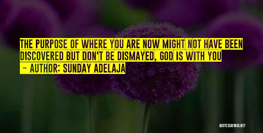 Dismayed Quotes By Sunday Adelaja