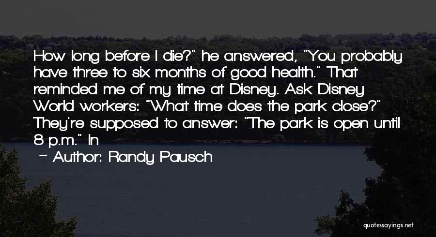 Disney Park Quotes By Randy Pausch