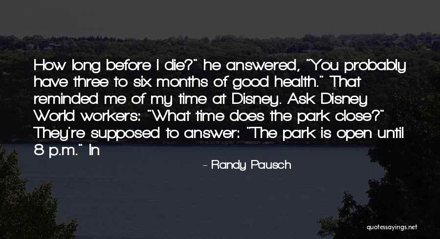 Disney Park Quotes By Randy Pausch