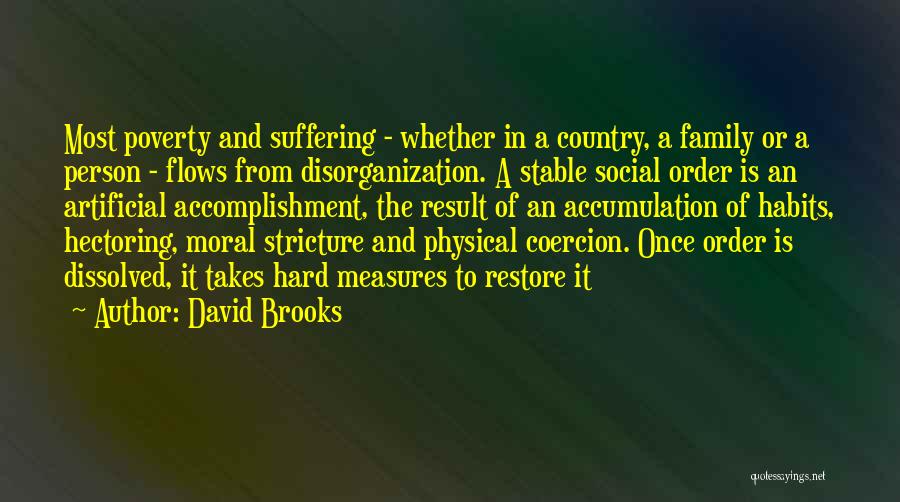Disorganization Quotes By David Brooks