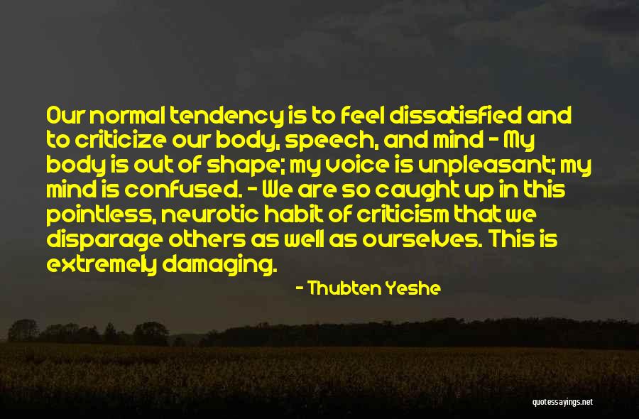 Disparage Quotes By Thubten Yeshe