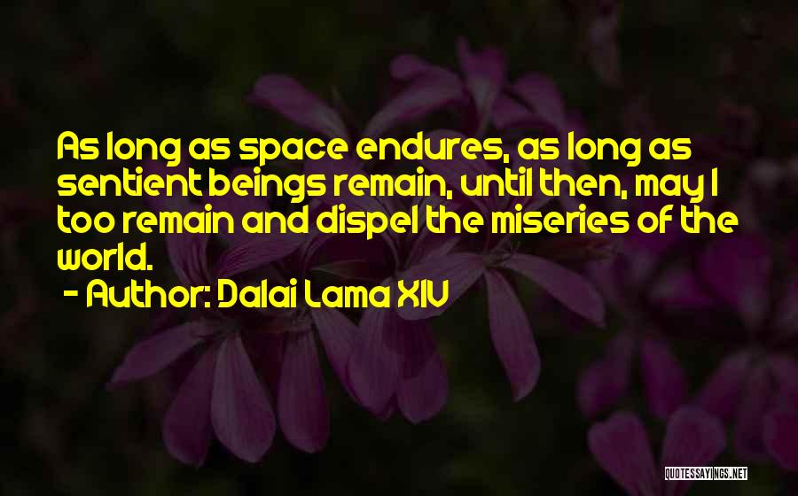 Dispel Quotes By Dalai Lama XIV