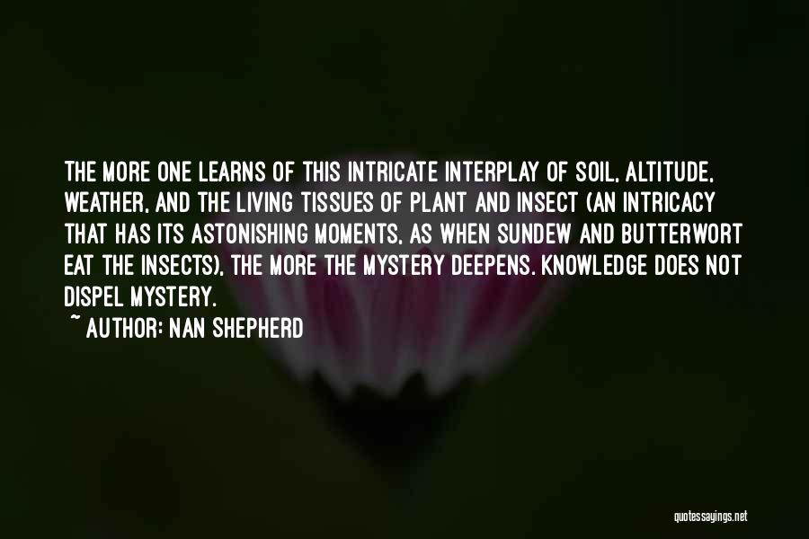 Dispel Quotes By Nan Shepherd