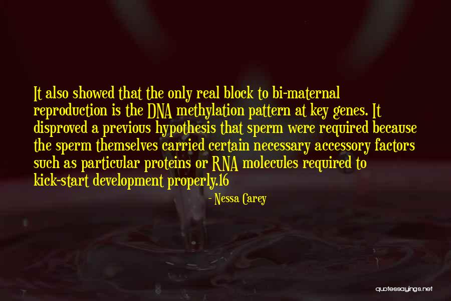 Dispensaries Recreational Quotes By Nessa Carey Dispensaries Recreational Quotes By Nessa Carey