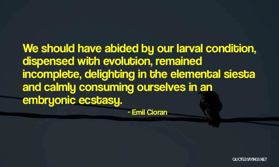 Dispensed Quotes By Emil Cioran Dispensed Quotes By Emil Cioran