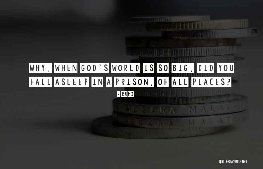 Dispersant Quotes By Rumi Dispersant Quotes By Rumi