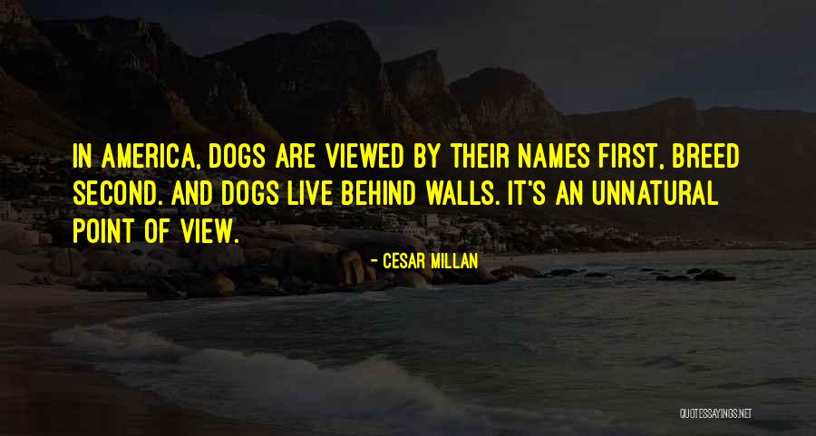 Dispersants Pronunciation Quotes By Cesar Millan Dispersants Pronunciation Quotes By Cesar Millan