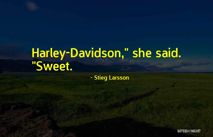 Dispersed Phase Quotes By Stieg Larsson