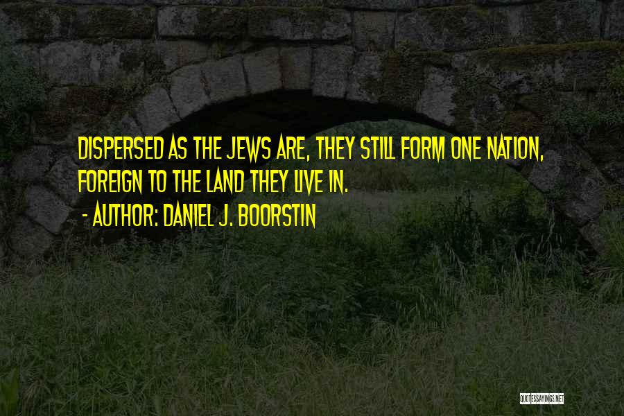 Dispersed Quotes By Daniel J. Boorstin