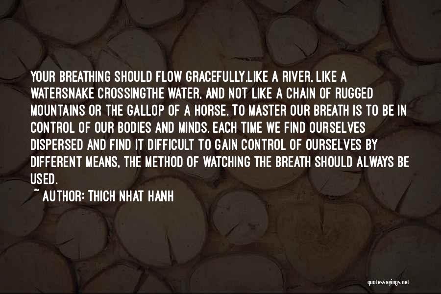 Dispersed Quotes By Thich Nhat Hanh