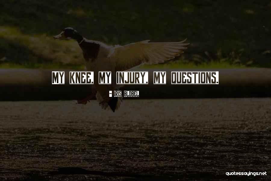 Dispirited In A Sentence Quotes By Iris Blobel Dispirited In A Sentence Quotes By Iris Blobel