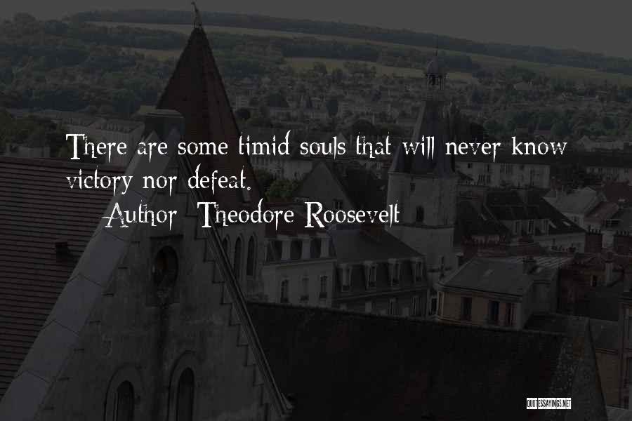 Displaced Detective Quotes By Theodore Roosevelt