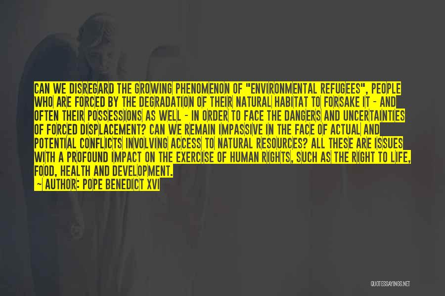 Displacement Quotes By Pope Benedict XVI