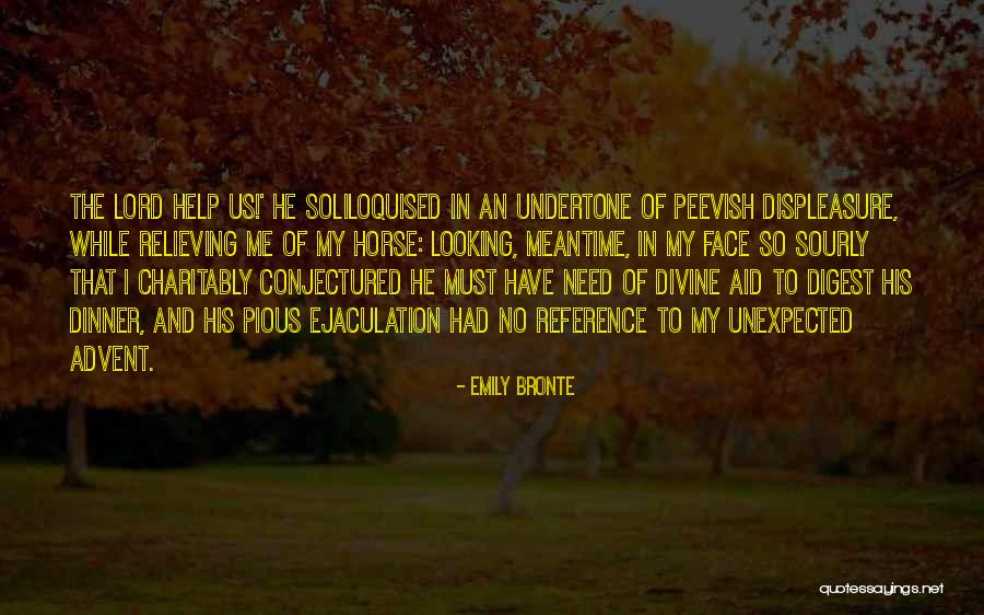 Displeasure On Ones Face Quotes By Emily Bronte Displeasure On Ones Face Quotes By Emily Bronte