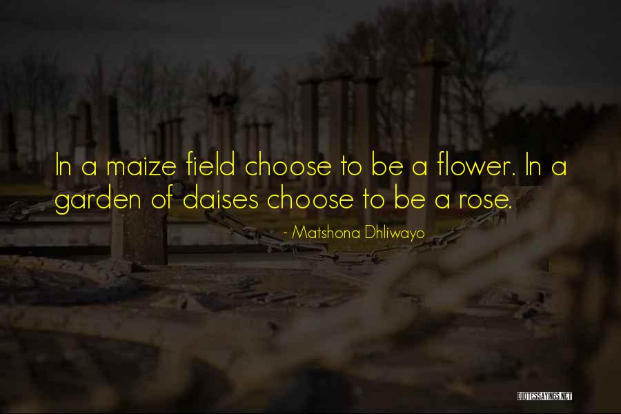 Disporta Quotes By Matshona Dhliwayo Disporta Quotes By Matshona Dhliwayo
