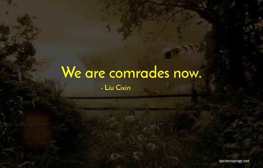 Disposables Plates Quotes By Liu Cixin