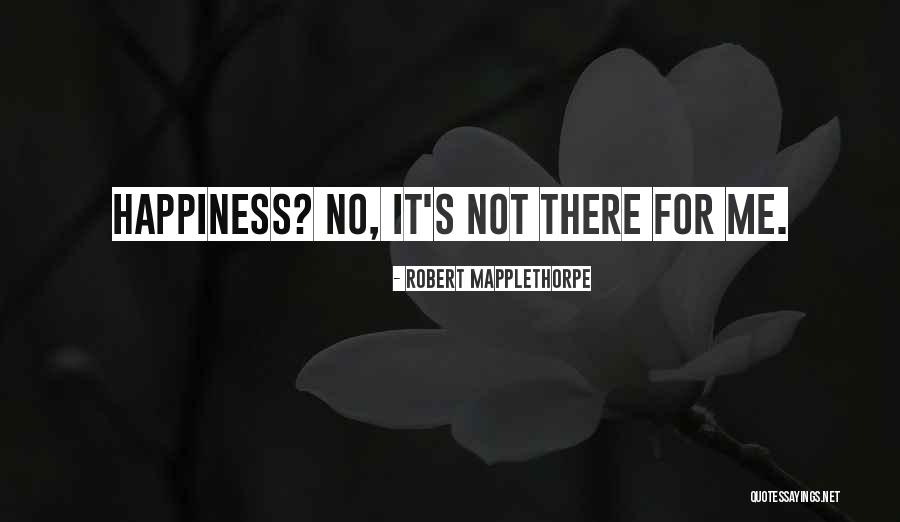 Dispunge Quotes By Robert Mapplethorpe