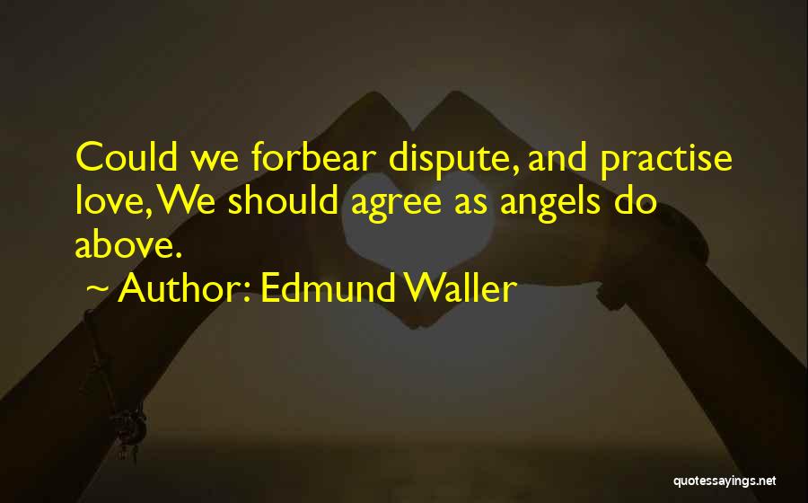 Dispute Quotes By Edmund Waller