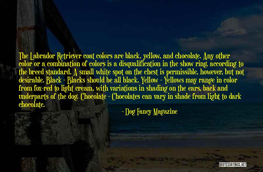 Disqualification Quotes By Dog Fancy Magazine Disqualification Quotes By Dog Fancy Magazine