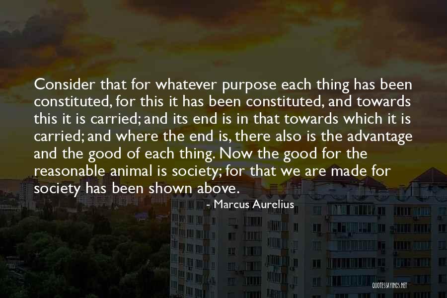 Disqualification Quotes By Marcus Aurelius Disqualification Quotes By Marcus Aurelius