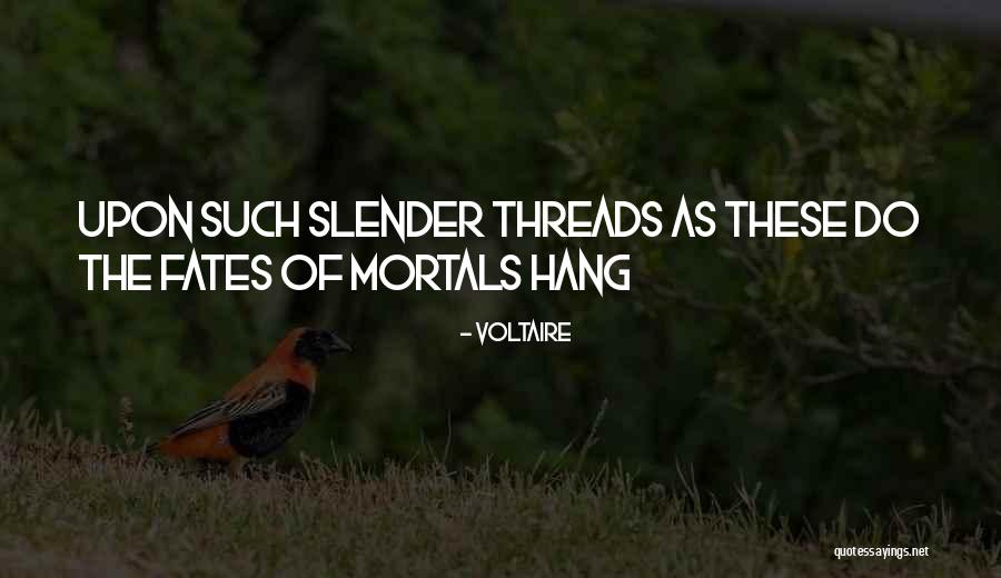 Disraelis Novels Quotes By Voltaire Disraelis Novels Quotes By Voltaire