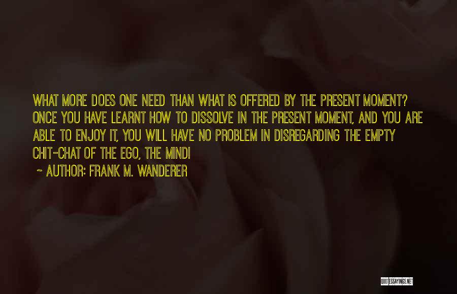 Disregarding Me Quotes By Frank M. Wanderer